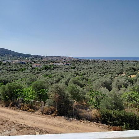 Sto Lofo Apartments Kalyvia-Limenaria Thassos Exterior photo